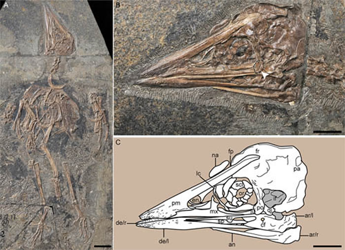 ��ʥ�Ϳ�����ͬ���������ż�Ӫ������������ͼ��