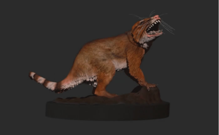 ���������ݳ�����1��3ǧ������ʷԭʼ���鶯��ͷ�ǻ�ʯ���Ƴٴ�½����ʱ��