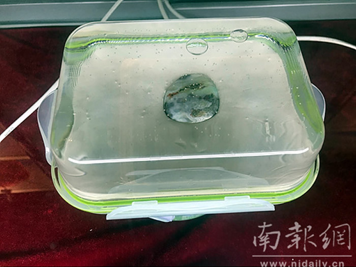 ������չ������������껨ʯ������6��9�����Ͼ������ﲩ��ݿ�չ