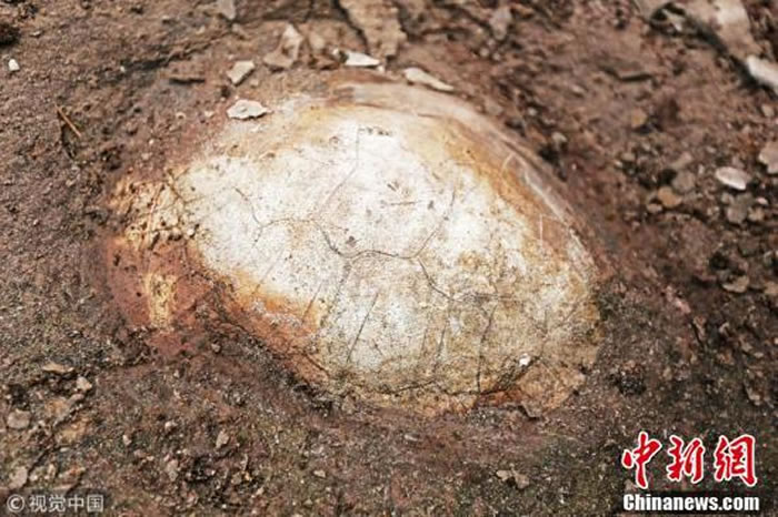 �������뽭������1.5����ǰ�߾��껯ʯ