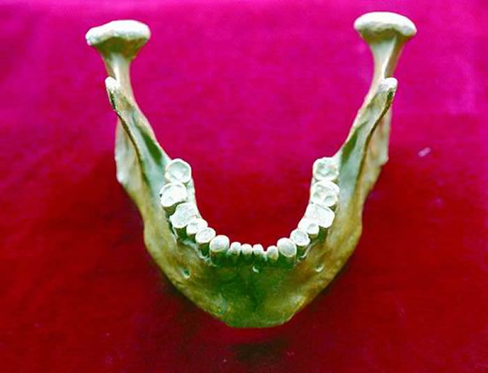 ������������