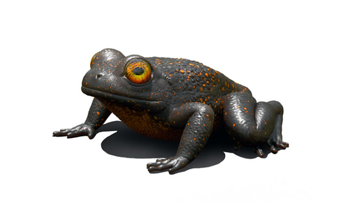 ��ī�����ܸ�ԭͼ����ͼ/Damir G Martin��