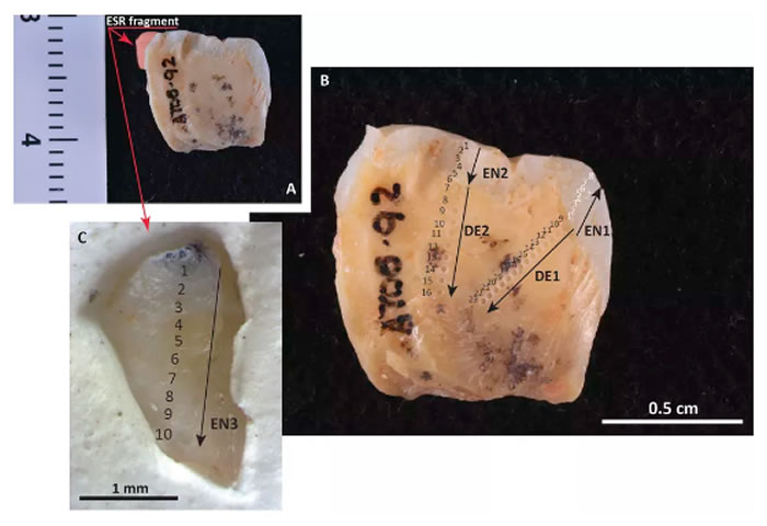 ��������ַ���ֵ�ŷ����������໯ʯ�����׷�ݵ�Լ100����ǰ