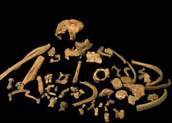 ����ѧ������������������ǰ�˺��ǡ�