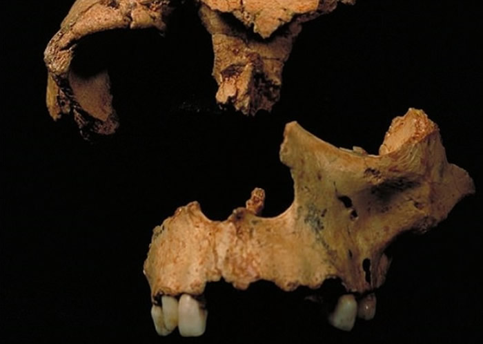 ǰ��Ϊ�������ᰲ�����˵����ȣ������ִ��������ȡ�