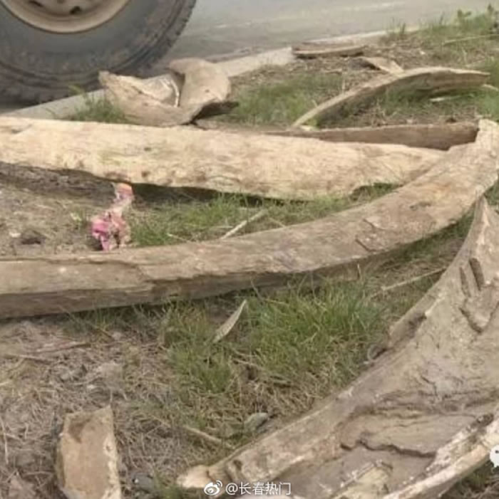 �����а���ƥ�˹�԰���ط����������ųݻ�ʯ