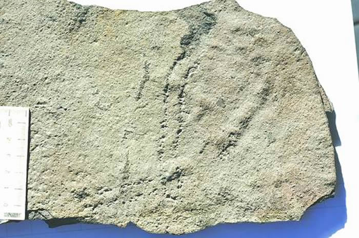 ��Ͽ�����İ��Ͽ������㼣��ʯ