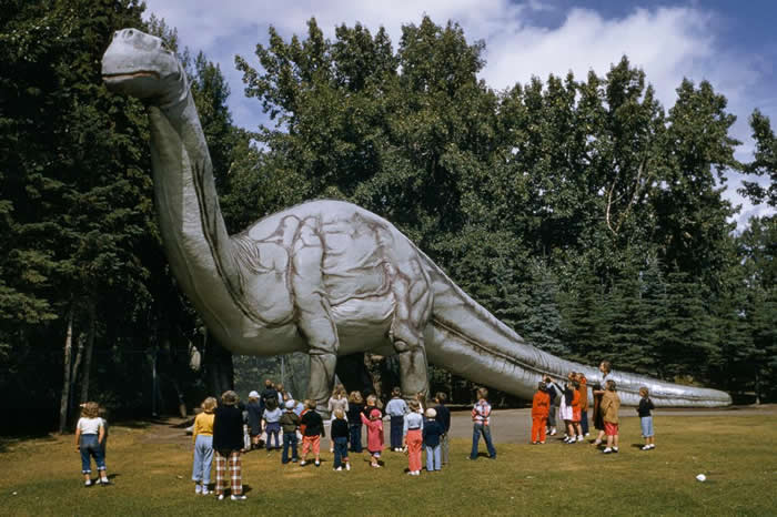 ��������������ͽ��������Ŀ��������׵��򳬹�1��5000���꣬��������֣�Ҳ������ʮ������ѡ� PHOTOGRAPH BY J. BAYLOR ROBERTS,