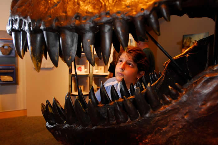 �¿Ƽ��ÿ�ѧ���ܸ������˽��·��ֵĿ������࣬�����������֮����������ʽ�� PHOTOGRAPH BY RAUL TOUZON, NATIONAL GEOGR