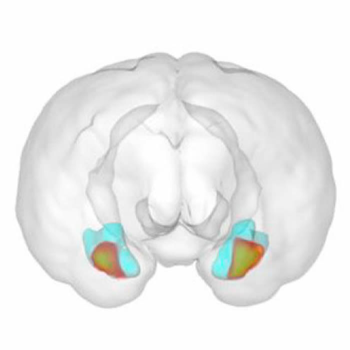 ����Ϊ�θ���˳������ѱ���������Ӵ��Խṹ�����仯