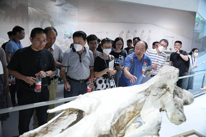 郭建崴给予会专家介绍武汉自然博物馆展览中的古生物展项