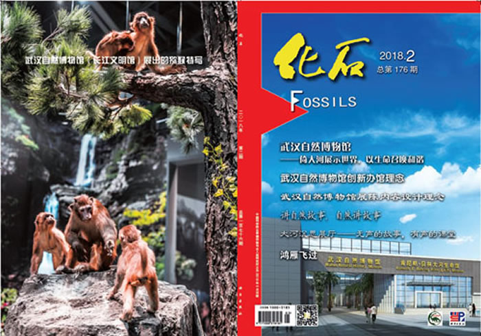 《化石》杂志“武汉自然博物馆专集”封面及封2-4内容