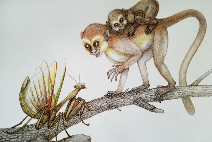 �ų��Ϻ���Գ��ַ���ȷ�������������