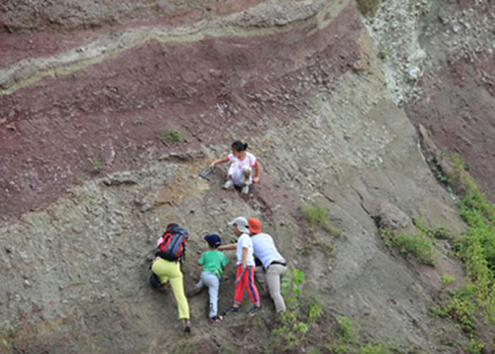 中国古动物馆小达尔文俱乐部野外活动(资料图)