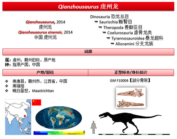 日本福井县立恐龙博物馆《兽脚类:演变成鸟的肉食龙》展出来自江西赣州的“虔州龙”