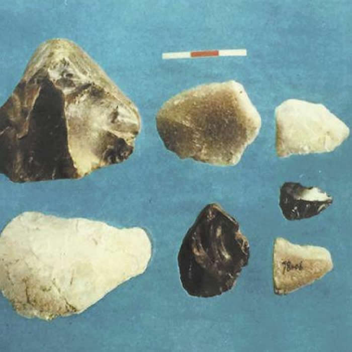 ����ʡ�����ضμҹ����Ŵ���ˮ��������������׵���ʯ���з��֡������ˡ�ͷ�ǻ�ʯ