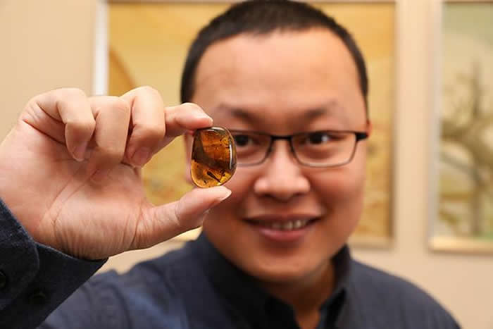 ���������д��֣�9900����ǰ���߱���