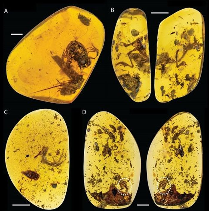 ��������