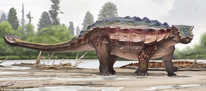 ���������ݷ��ֵĹ��Ͽ���Akainacephalus johnsoni�����׸���