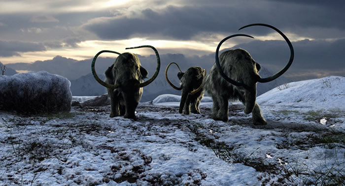 ����˹����˹���͹����ֿ�������80-40����ǰ��������������Ⱥ��ǻ�ʯ