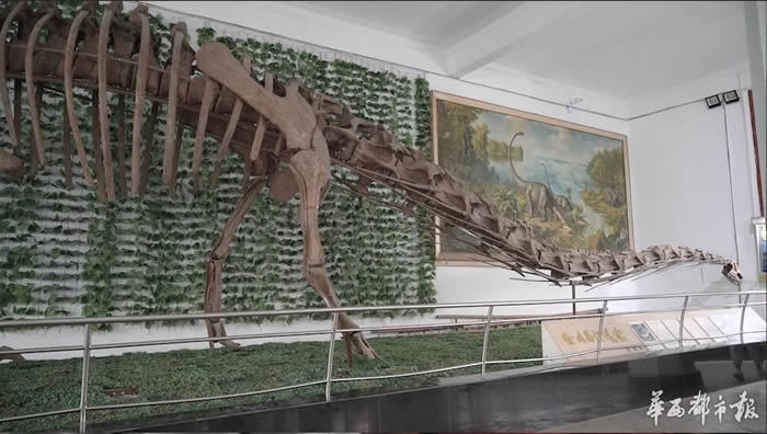 �ϴ�����Ϫ����������������������󽫡�����Ϫ�����ɡ�����Ϫ��