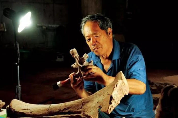 ��֦�����롰������鲻����