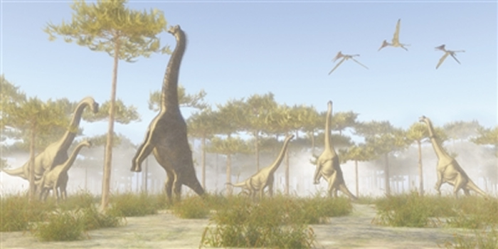 ���о�ָ��������������Ӫ��״����ԭ����Ϊ��Ҫ��