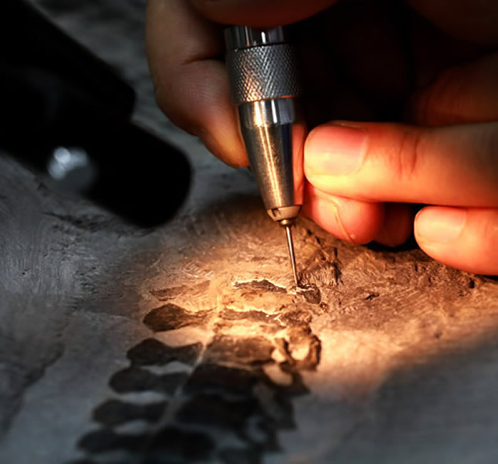 ��ʯ�޸�ʦ�������������������롱