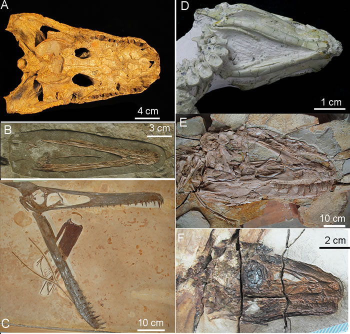 ���о��Ƚ��˿��������������������ִ��������Ǽ���ؼ���