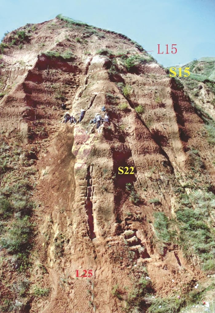 ������Ա�������ϳ���ַ�����涸������