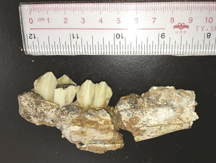 ���ϳ���ַ���ֵ�ţ�ƻ�ʯ���ǲк����棨�����S27�У����Լ210���꣩