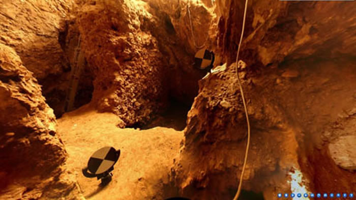 �����ﴨ��Ҷ���������ַ�����ֳ�������ϼ��ͼ��