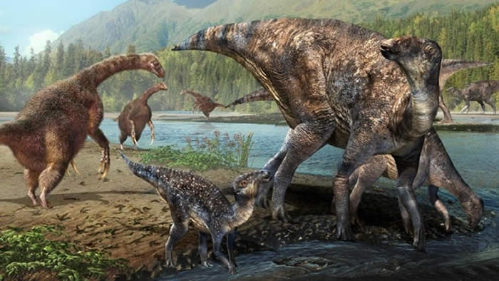 ��������˹�ӷ�������Զ�����޺ͱ����ġ��������ٹ�·��