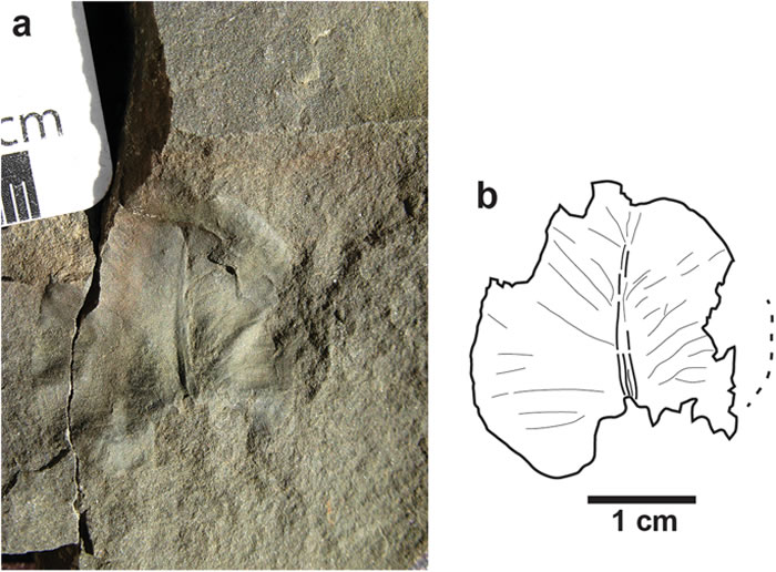 ��������˹�ӷ�������Զ�����޺ͱ����ġ��������ٹ�·��