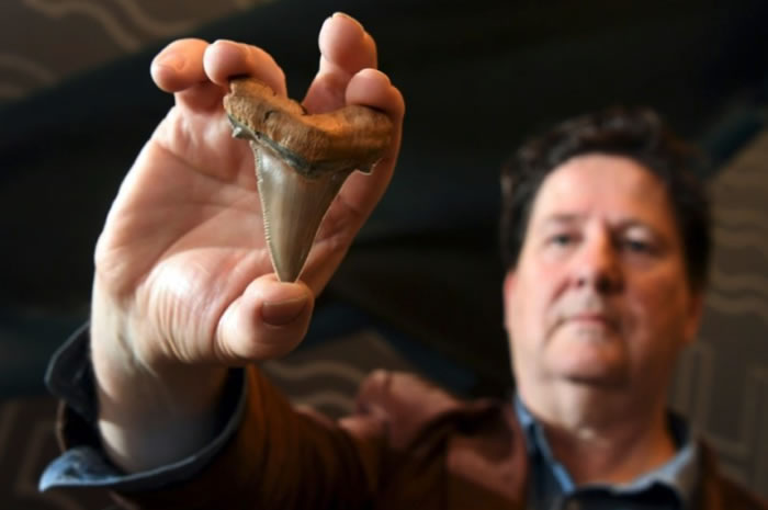 ���޻�ʯ��������ɳ̲����ʷǰ���������������ݻ�ʯ