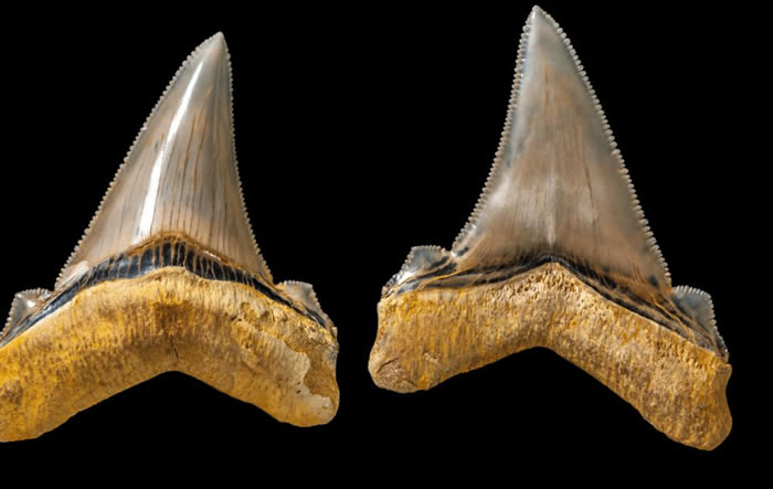 ���޻�ʯ��������ɳ̲����ʷǰ���������������ݻ�ʯ