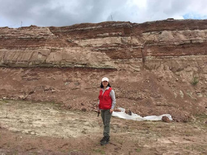 ����ϼҰ��ƿ�