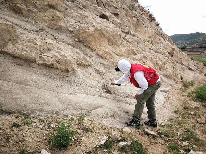 ����ϼҰ��ƿ�