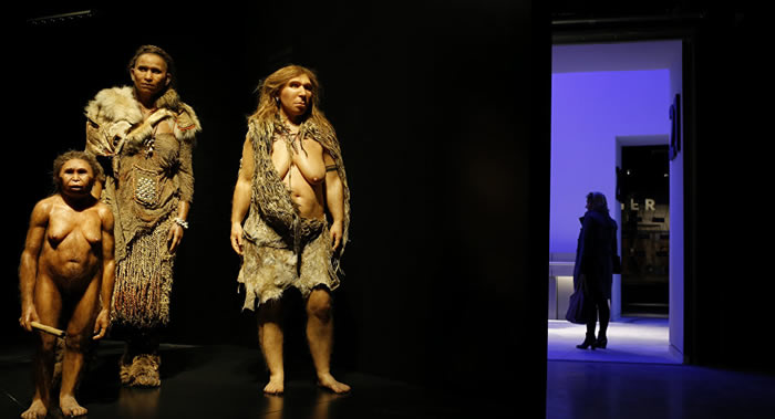 ��ϸ���������Ի���FOXP2û�и����˴�����������