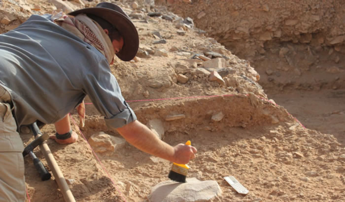 �����衱���ܶ�ֱ���˵��������Ҫ����