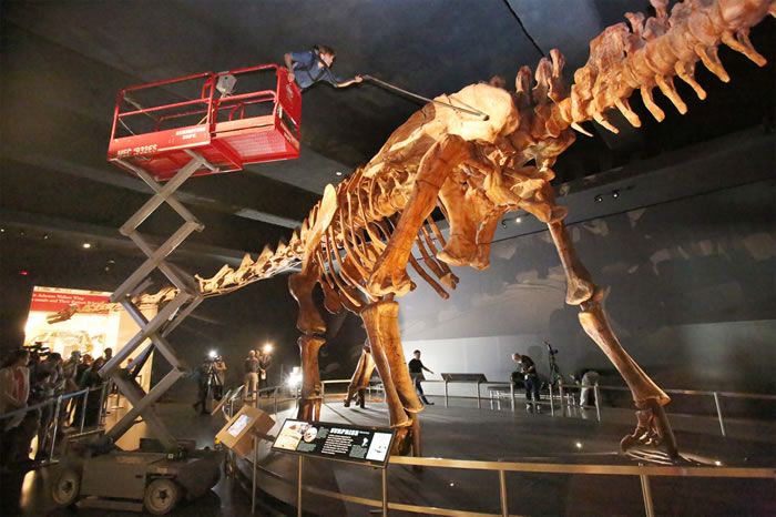 ����ŦԼ�������ϴ�������İ�����̩̹����ʯ