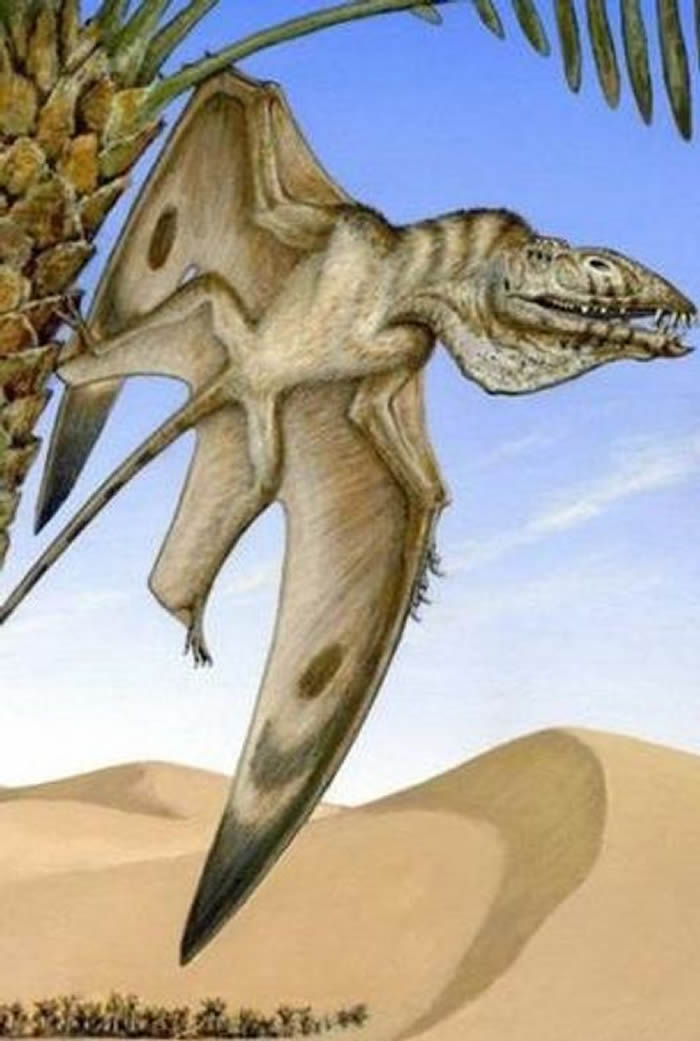 ���������ڵ�һ������ë����������200����ǰ���ڵ����Ϸ���