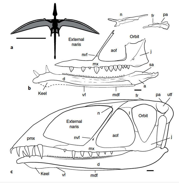 ���������ڵ�һ������ë����������200����ǰ���ڵ����Ϸ���