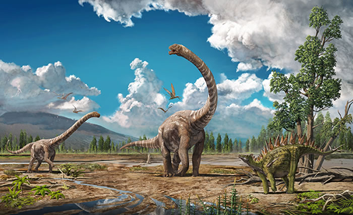 �Դ������ġ��й���������ƱС���š�