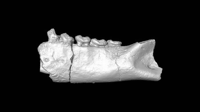 �����𡱻�ʯ��ʾ���������½�����˹�ӵķ�ʽ