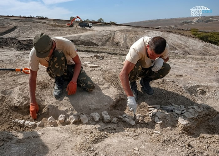 ����˹����ѧ���ڿ��������ھ����1000������ʷ�����뾨���ǻ�ʯ