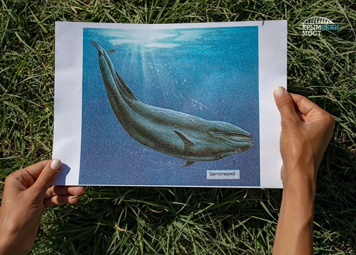 ����˹����ѧ���ڿ��������ھ����1000������ʷ�����뾨���ǻ�ʯ