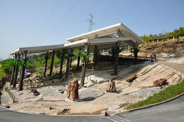 翠屏山景区木化石公园一隅