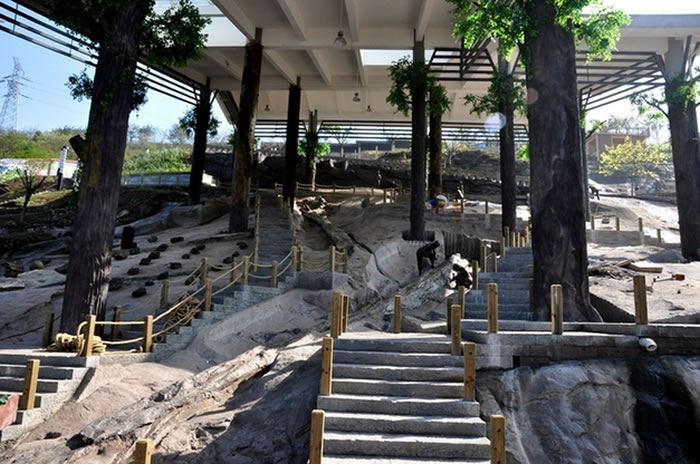 木化石群保护现场