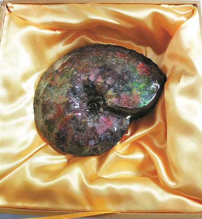 ���ں����ƽ���������161�������ﻯʯ